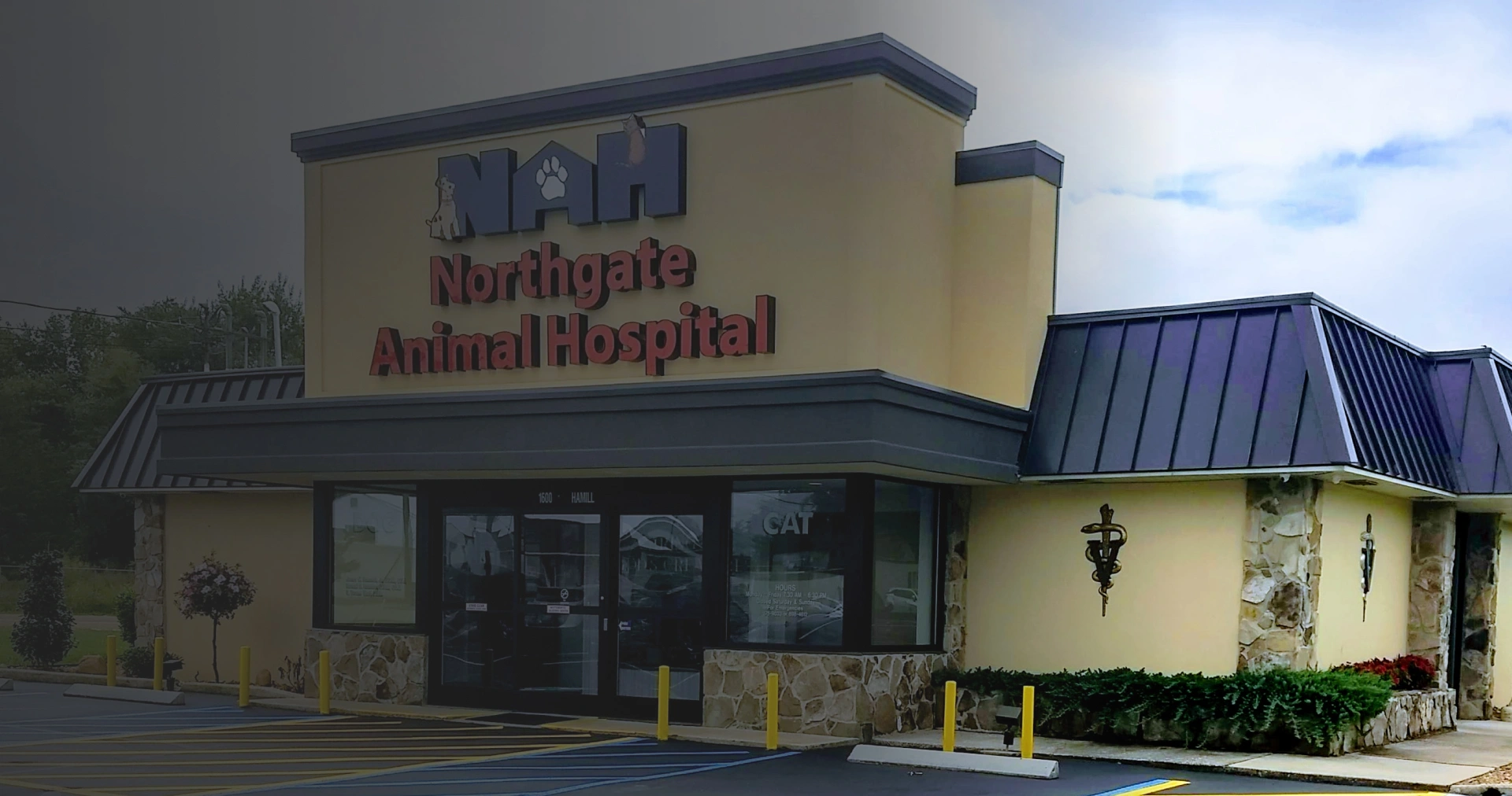 animal hospital, hixson, Chattanooga tn