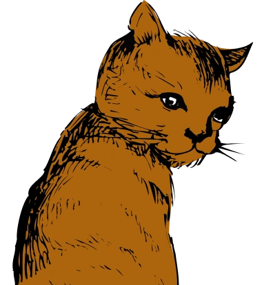 Northgate Cat Care