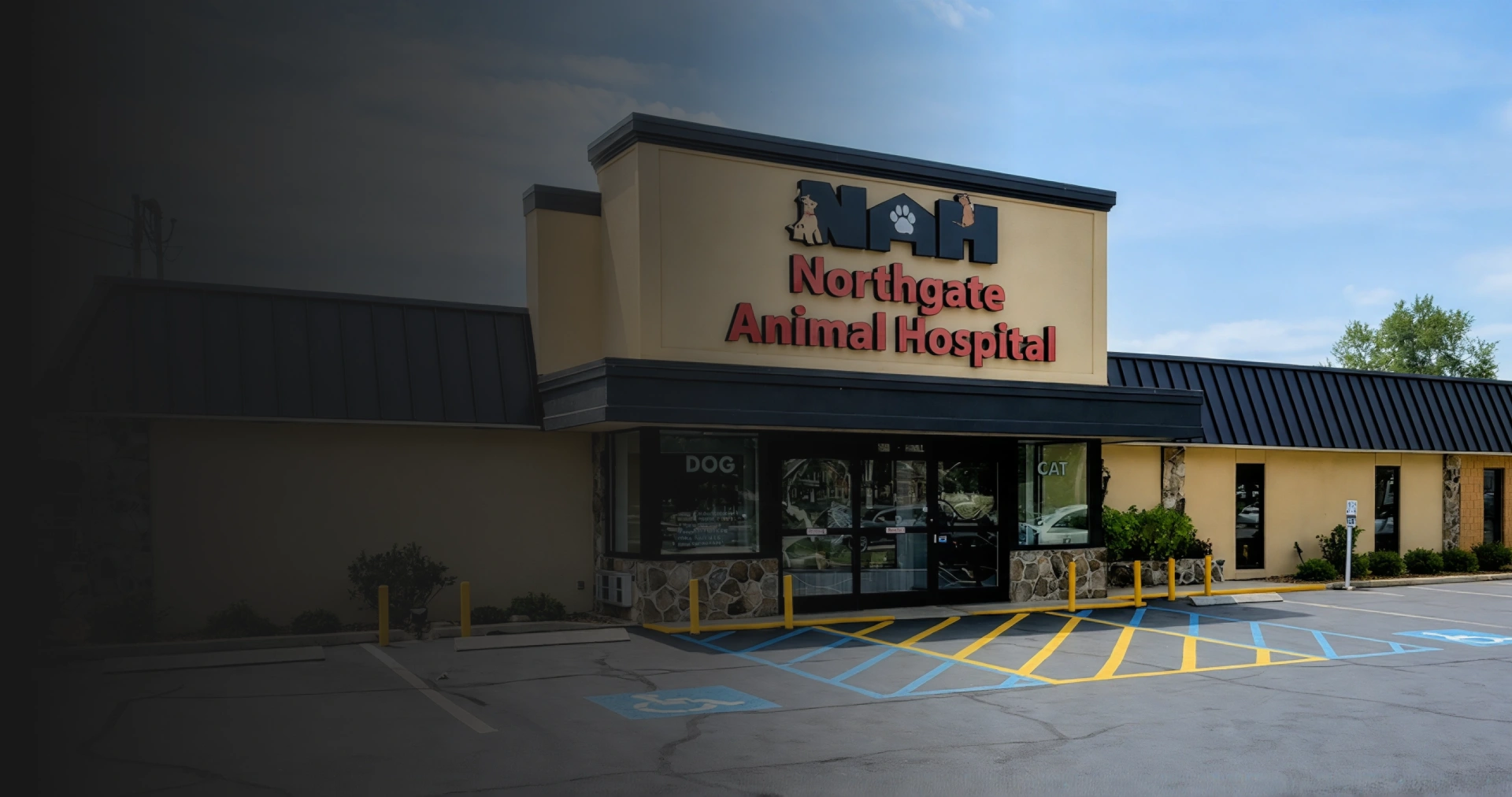 animal hospital, hixson, Chattanooga tn
